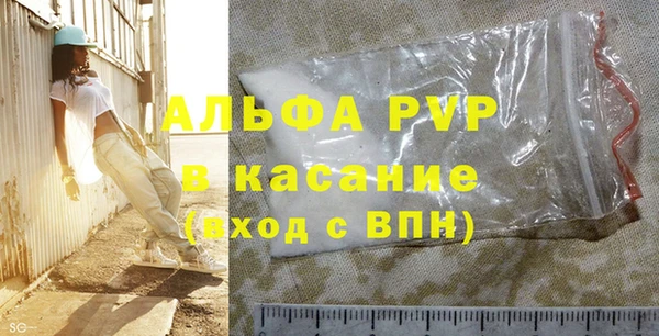 индика Печоры