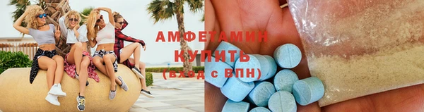 индика Бердск