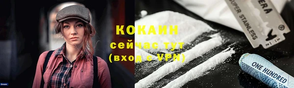 PSILOCYBIN Навашино