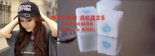 гашик Надым