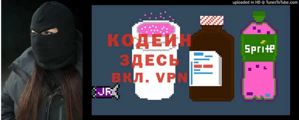 гашик Надым