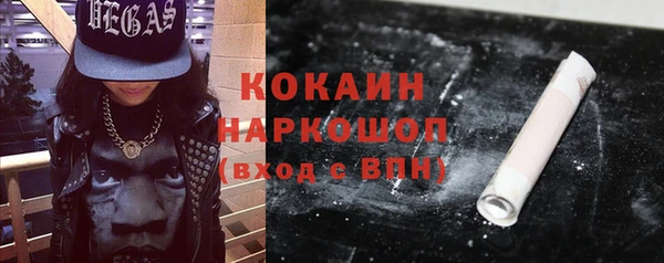 гашик Надым